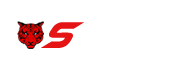 Smarty Scripts Logo